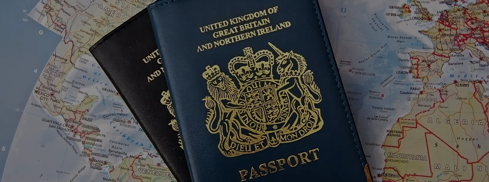 UK Immigration Advisor